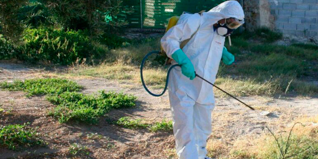 El Ayuntamiento imparte un curso gratuito de aplicador de productos fitosanitarios nivel cualificado 8 curso jardinero