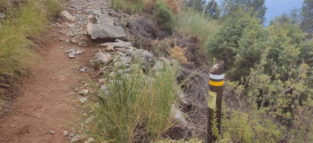 SENDEROS HOMOLOGADOS 10 sendero