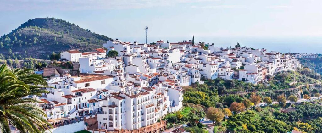Muere un hombre en Frigiliana tras caerle encima una palmera 4 frigi